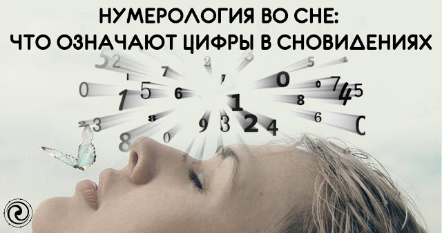   :     
