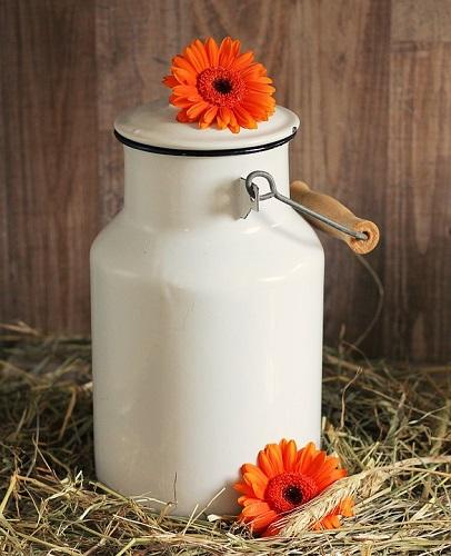 Коровье молоко - тяжелый продукт Коровье молоко - тяжелый продукт