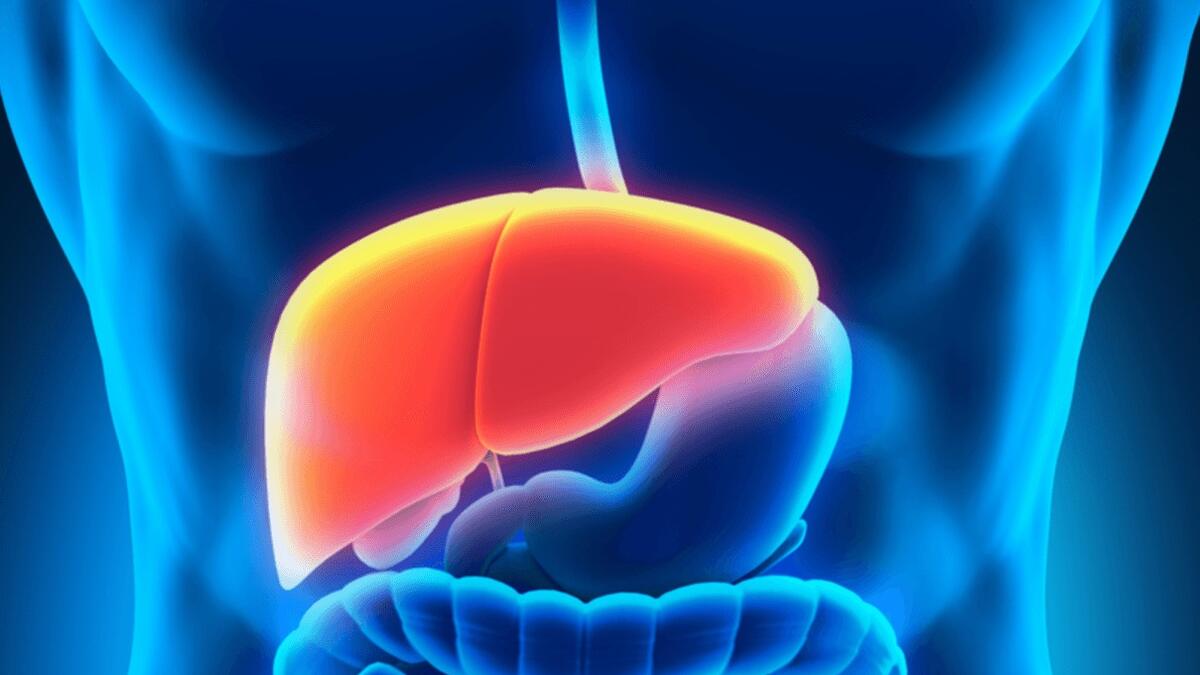 Врач перечислила восстанавливающие печень продукты