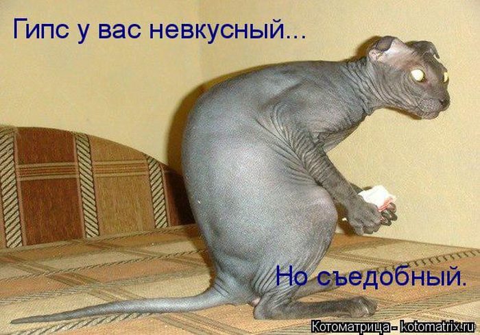 Лучшие котоматрицы, которые зарядят вас позитивом) Лучшие котоматрицы, которые зарядят вас позитивом)