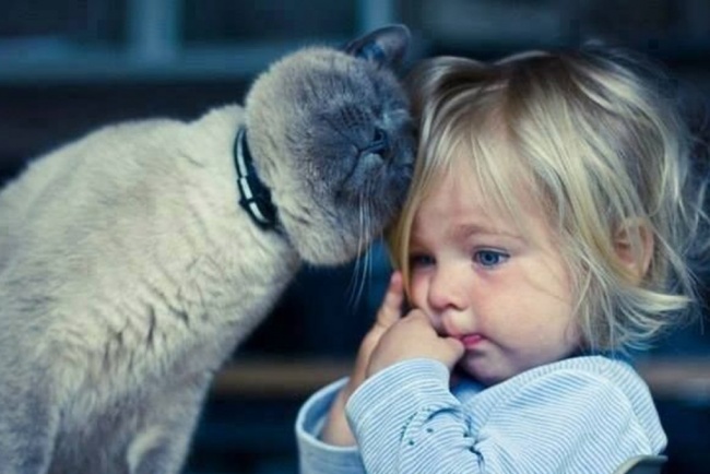 Очаровательные фото доказывающие, что каждому ребенку нужна кошка