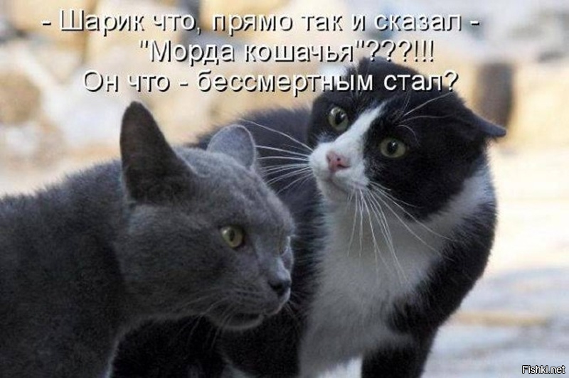 Немного юмора с утра не помешает! Немного юмора с утра не помешает!
