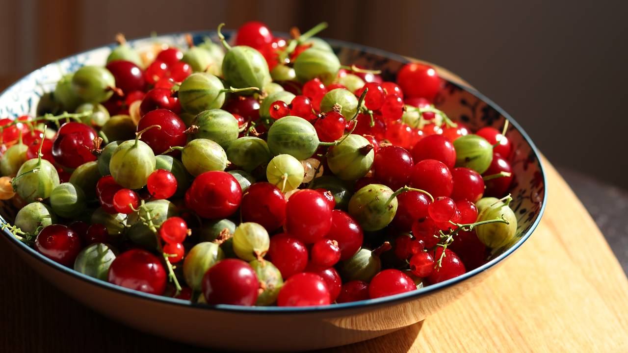 BMC: пища, богатая полифенолами, снижает риск сердечно-сосудистых заболеваний