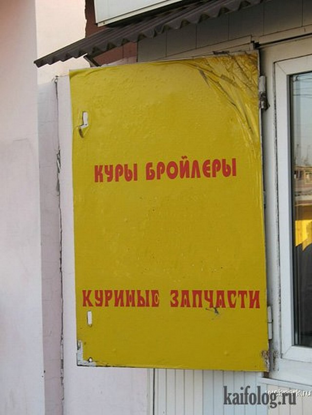 Чисто русские фото (80 фото) - Смешной Чисто русские фото (80 фото) - Смешной