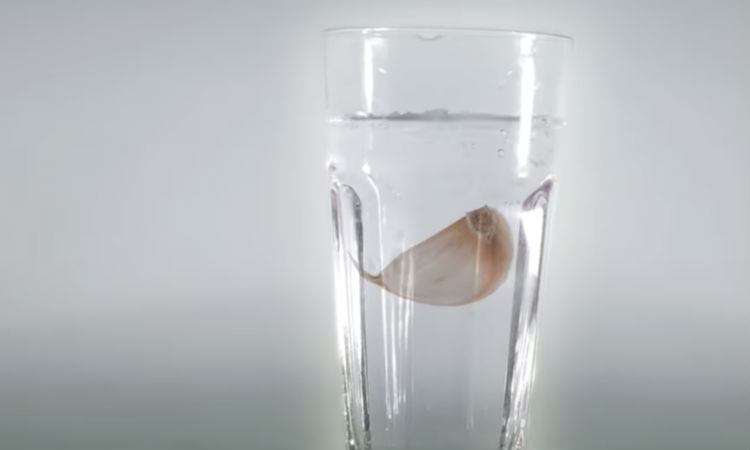 Пьем стакан чесночной воды каждый день: что будет с телом