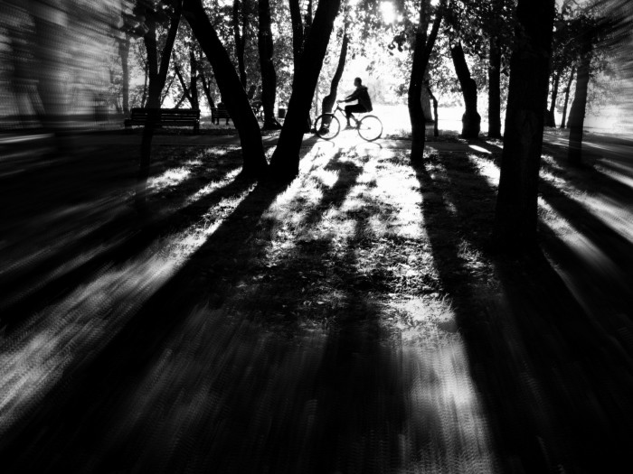 Прогулка по вечернему парку. Автор фотографии: Проничкин Александр. 30 самых интересных и удивительно красивых снимков от российских фотографов клуба Russian Photo Club