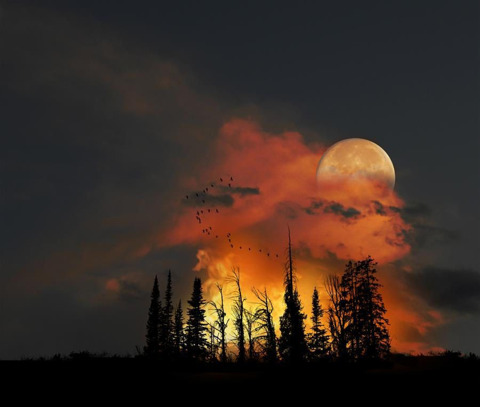 Peter Holme III Tutt'Art@ (23) (700x594, 198Kb)