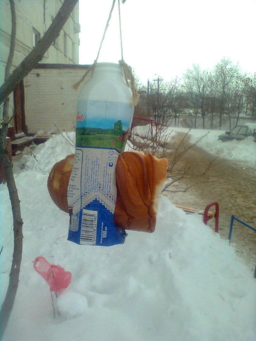 Щедрая душа. Щедрая душа.