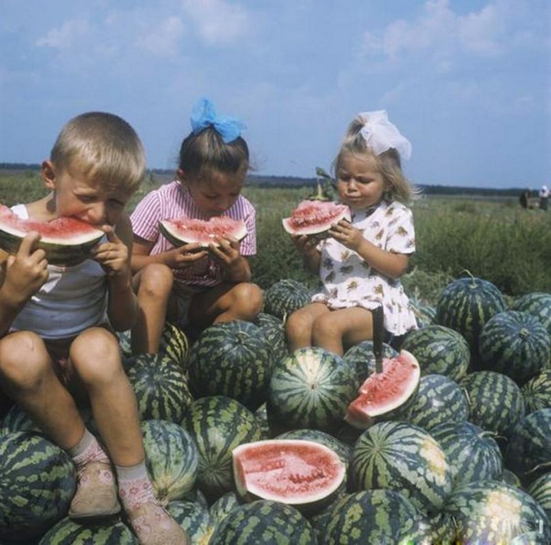 20 фотографий из советского детства, на которые не взглянешь без слёз ностальгии 20 фотографий из советского детства, на которые не взглянешь без слёз ностальгии