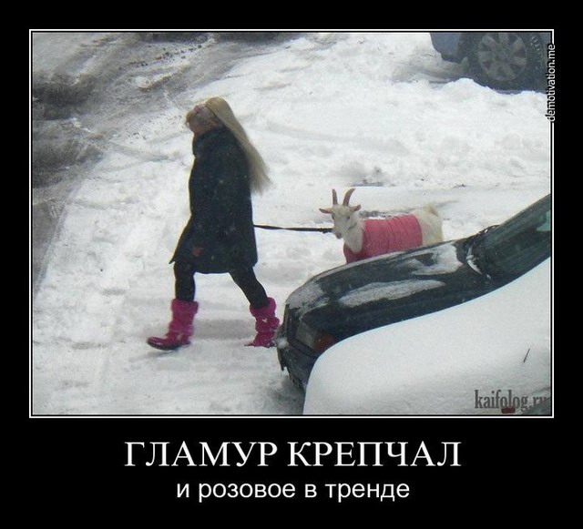 Смешные русские демотиваторы (40 фото)