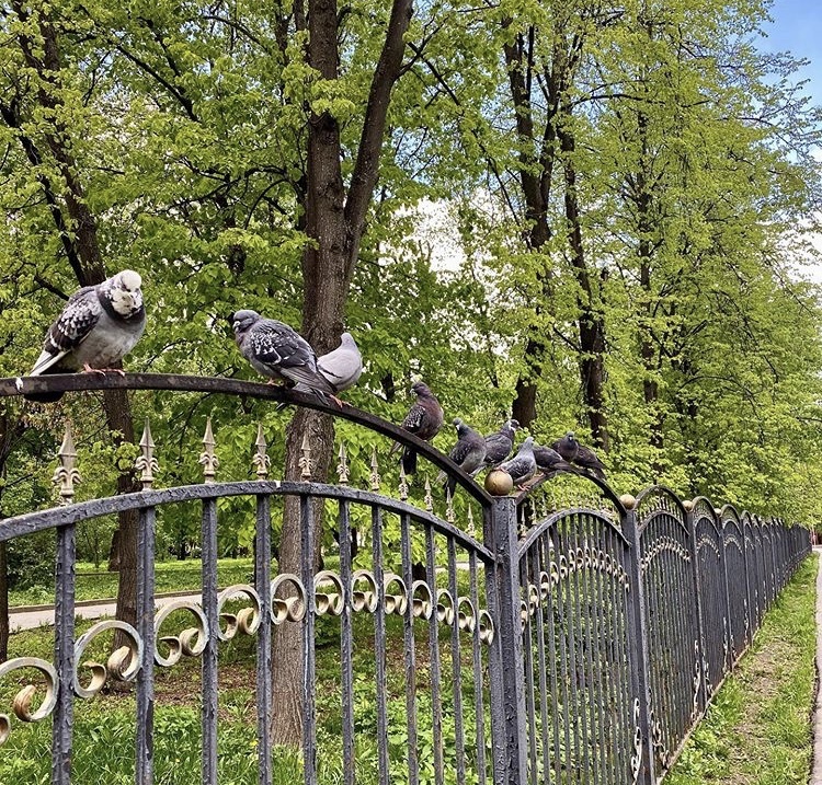 Фото дня: в Лефортовском парке появилась надежная охрана