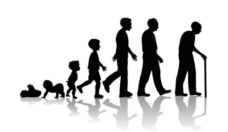 ÐŸÑ€Ð¾Ð´ÑƒÐºÑ‚Ñ‹ Ð´ÐÑ ÐÐ¾Ð´Ñ€Ð¾ÑÑ‚Ð¸ Ð¸ ÑÐ½ÐÑ€Ð³Ð¸Ð¸