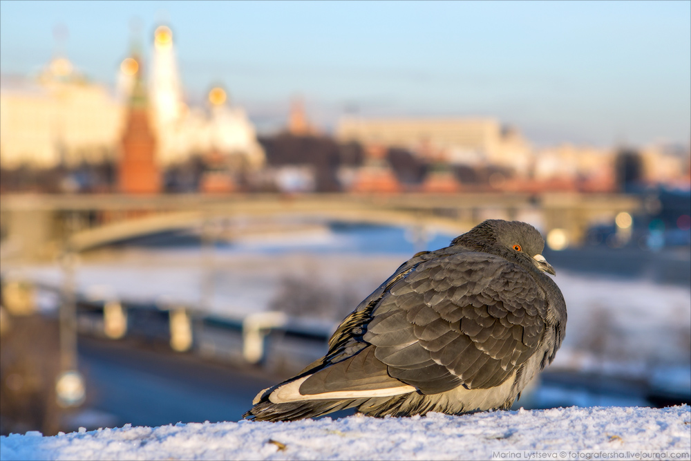 Москва -30 Москва -30