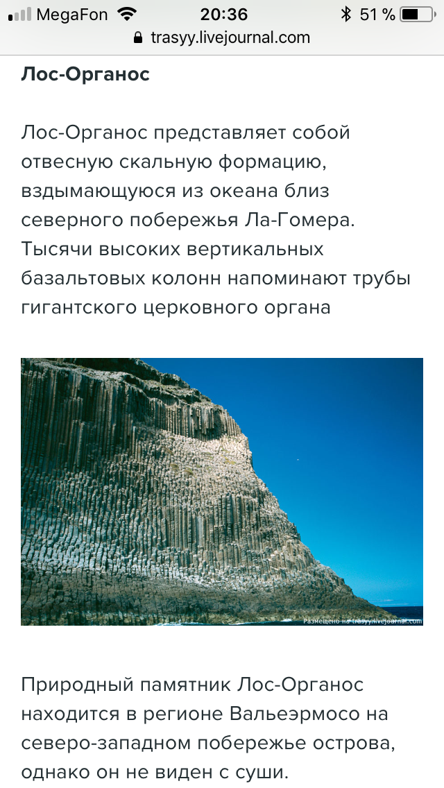 Когда то деревья были ОГРОМНЫМИ!
