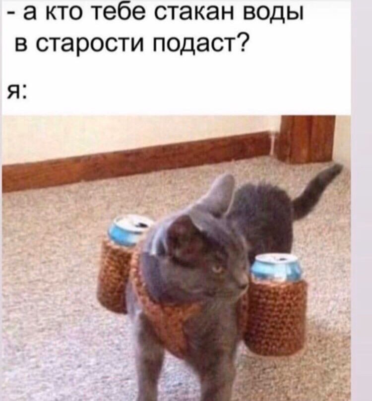 Фото из открытых источников Яндекса
