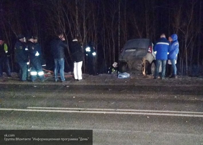 В Новгородской области под колесами тягача погибла женщина