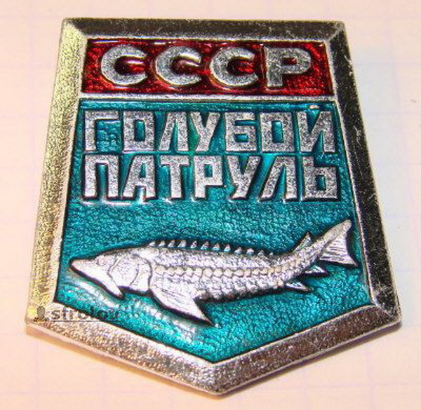 Маленькие коллекционеры прошлого