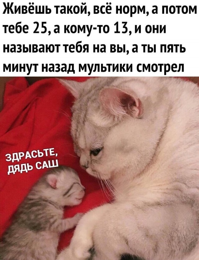 Алкопост Алкопост