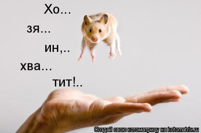 Мысли вслух :)