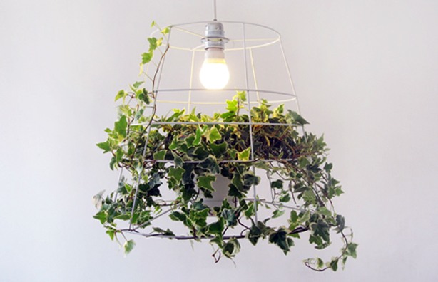 photosynthesis-lamp-01