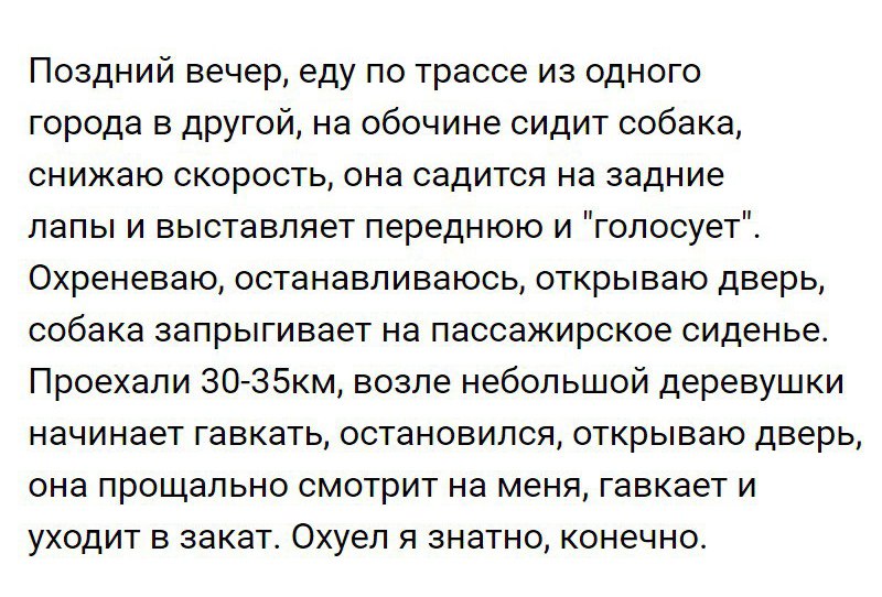 Замечательные картинки с надписями для поднятия настроения (11 фото) Замечательные картинки с надписями для поднятия настроения (11 фото)