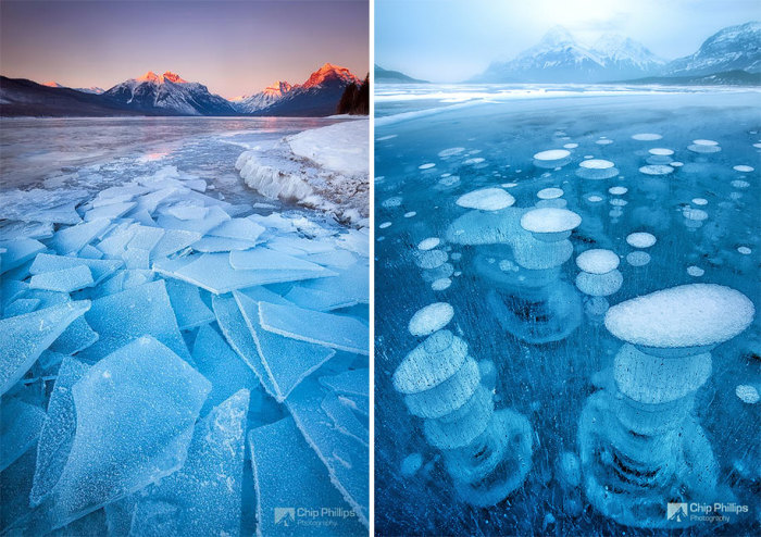 Земля погрузилась в ледниковый период. Автор фотографии: Phillips Chip.