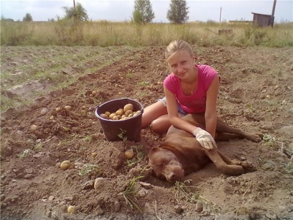 Сногсшибательные барышни из деревень, на которых нет ни грамма косметики