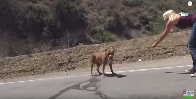 tmg-article_tall (3)