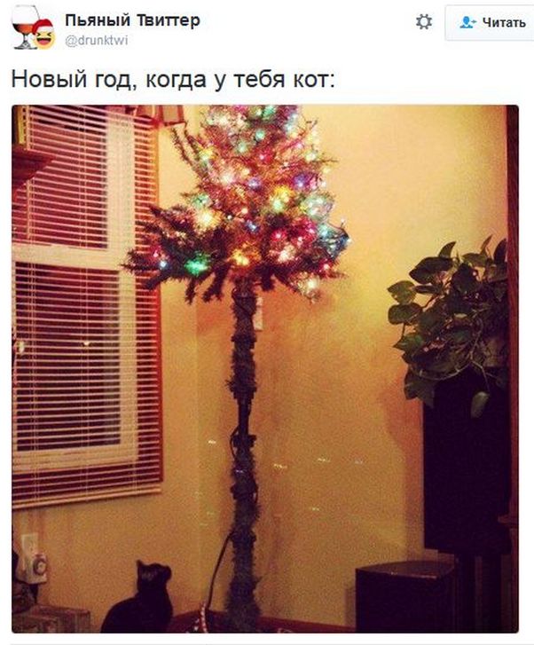 Соцсети жгут. Новогодний выпуск Соцсети жгут. Новогодний выпуск