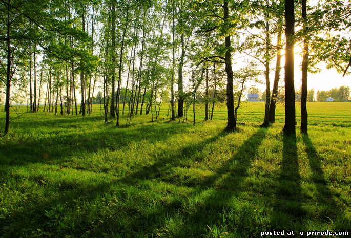 Природа России 6 Природа России 6