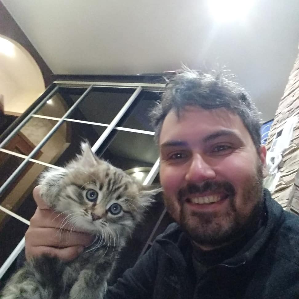 спасение котят мужчина с котом
