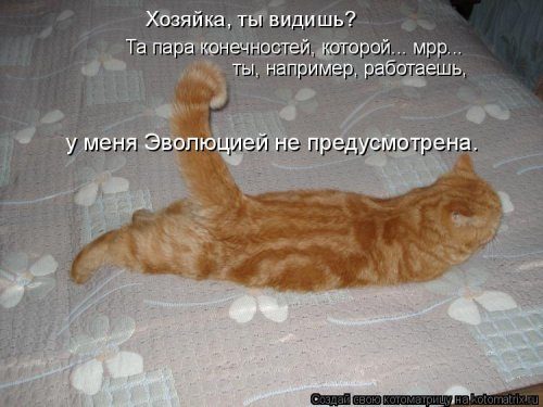Уморительные котоматрицы для отличного настроения Уморительные котоматрицы для отличного настроения