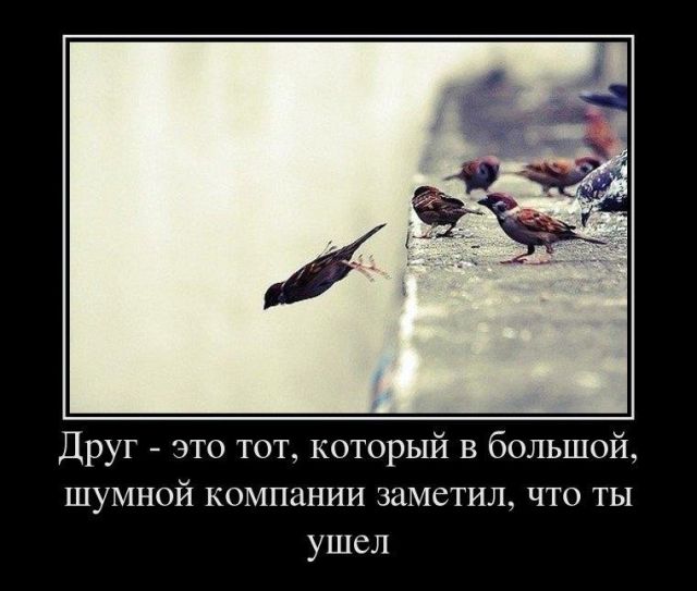 Демотиваторы (30 фото)
