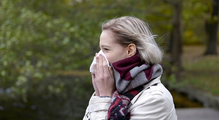 Как отличить сезонную аллергию и коронавирус: названы главные признаки