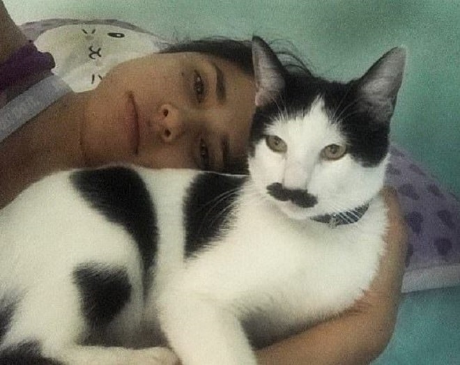 Кот лежит возле хозяйки Девушка лежит с котом