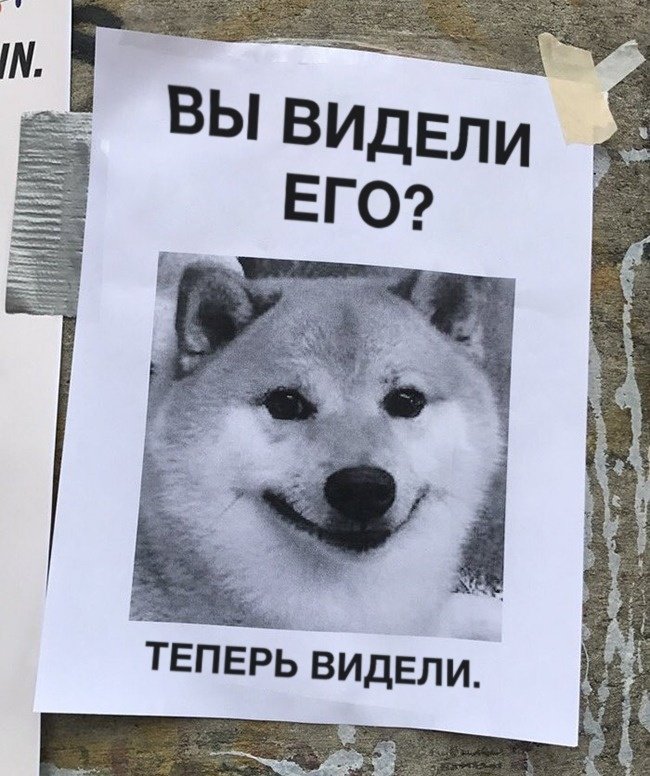 16 смешных объявлений и предупреждений