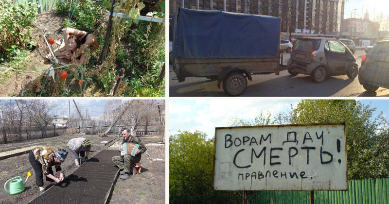 Самые разнообразные прелести дачного сезона! Самые разнообразные прелести дачного сезона!