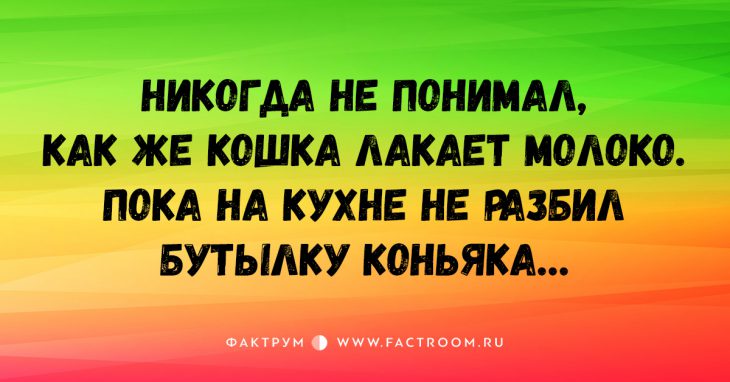 15 остроумных коротких шуток, вселяющих бодрость и позитив!