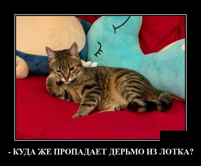 Демотиваторы Демотиваторы