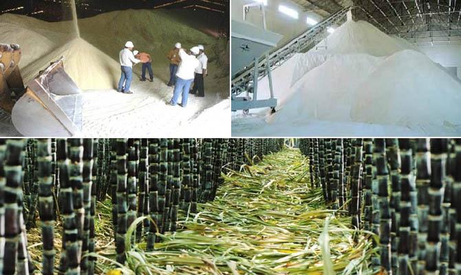 Интересные факты о Бразилии, Сахар