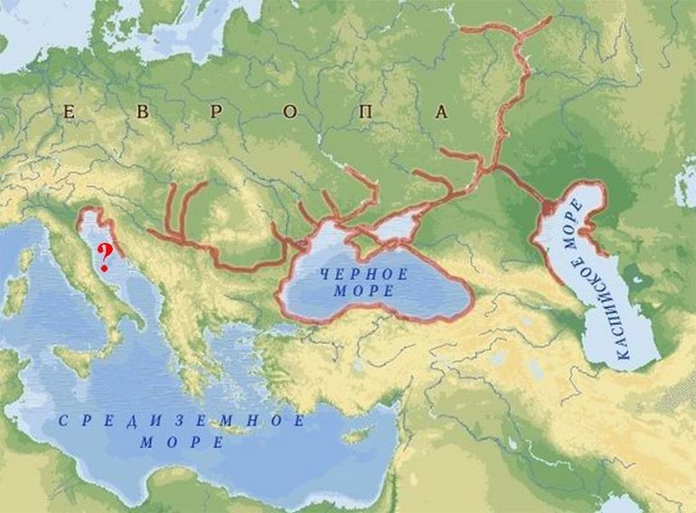 4 метра в длину: куда исчезла белуга — самая большая речная рыба на планете