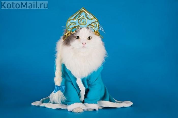 Коты и елка Коты и елка