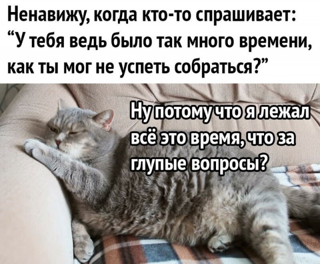 Алкопост Алкопост