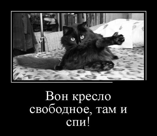 Демотиваторы (30 фото) Демотиваторы (30 фото)