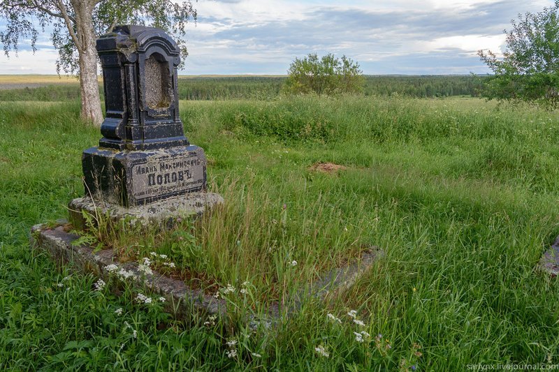 Вдоль Онеги. Деревянный модерн и резные мотивы путешествия, факты, фото