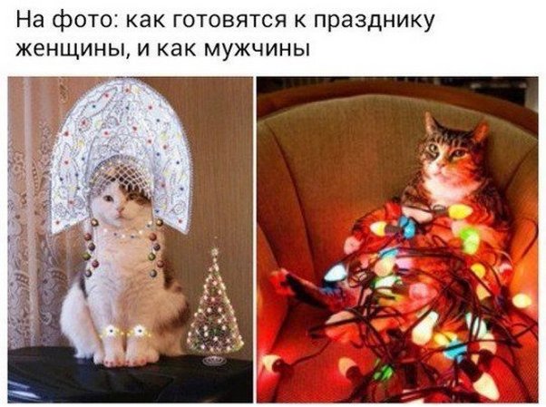 Соцсети жгут. Новогодний выпуск Соцсети жгут. Новогодний выпуск