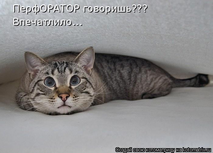 Мысли вслух :)