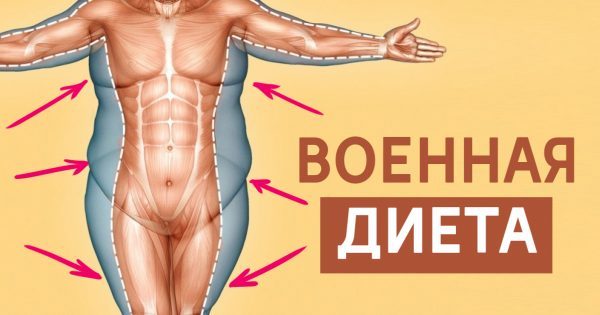 Трехдневная военная диета: за неделю уходит 4,5 килограмма жира! Надежный план питания.