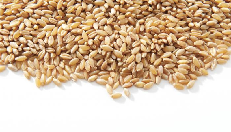 Products that reduce weight