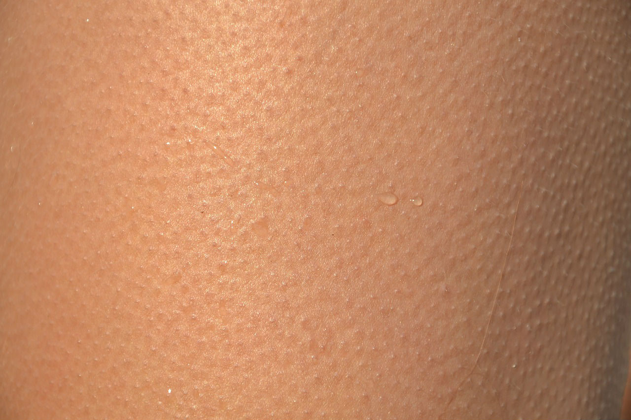 6.jpg 6.jpg